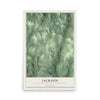 Map of Jackson, Susquehanna County, Pennsylvania, 12 x 18 inch unframed archival matte print