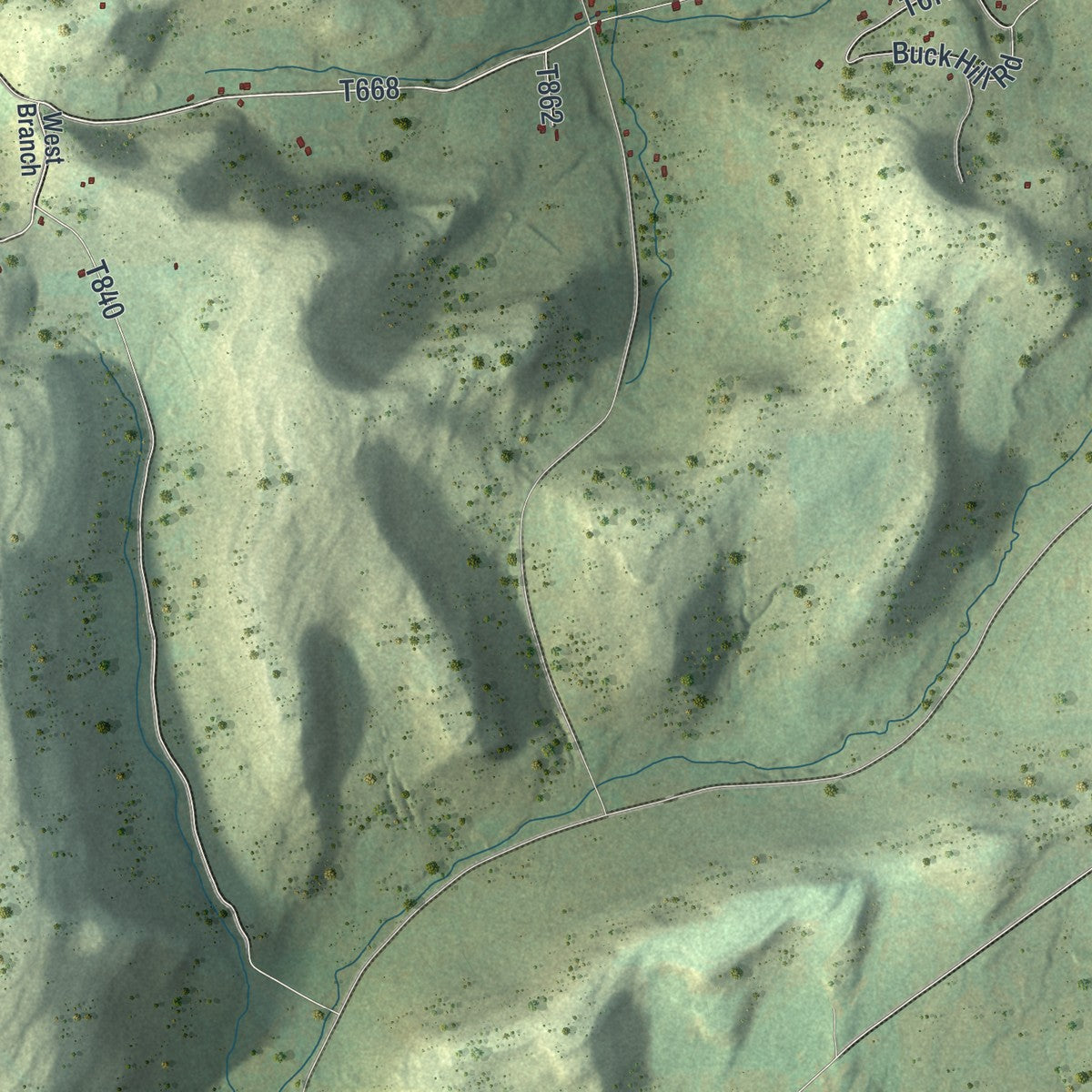 Second close-up of the map of Jackson, Tioga County, Pennsylvania print showing more streets and buildings