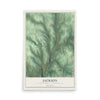 Map of Jackson, Venango County, Pennsylvania, 12 x 18 inch unframed archival matte print