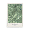 Map of Jefferson, Greene County, Pennsylvania, 12 x 18 inch unframed archival matte print
