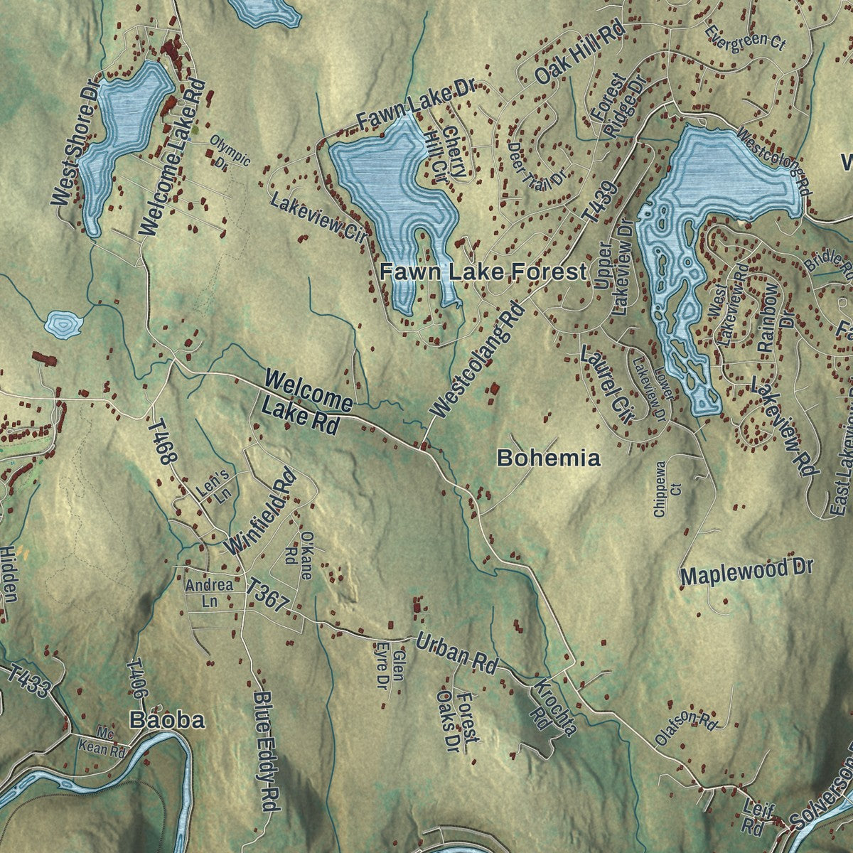 Close-up of the map of Lackawaxen, Pennsylvania print showing street and building detail