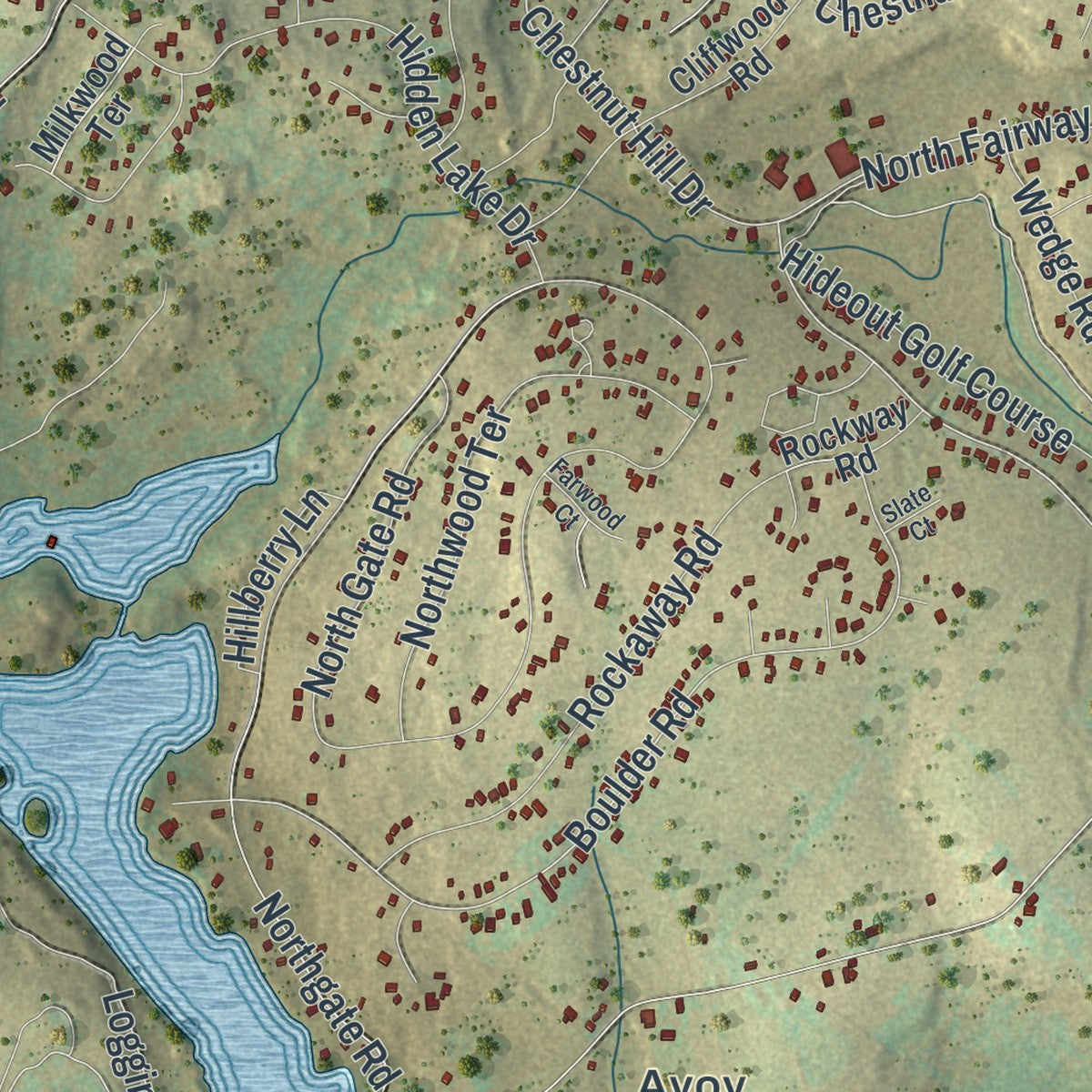 Close-up of the map of Lake, Wayne County, Pennsylvania print showing street and building detail