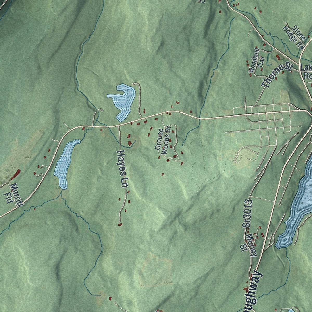 Second close-up of the map of Laporte, Sullivan County, Pennsylvania print showing more streets and buildings