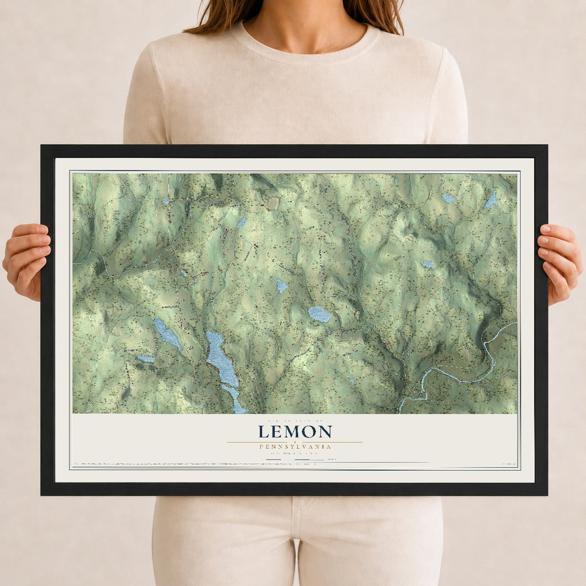 Map of Lemon, Pennsylvania, 12 x 18 inch print in a black wood frame