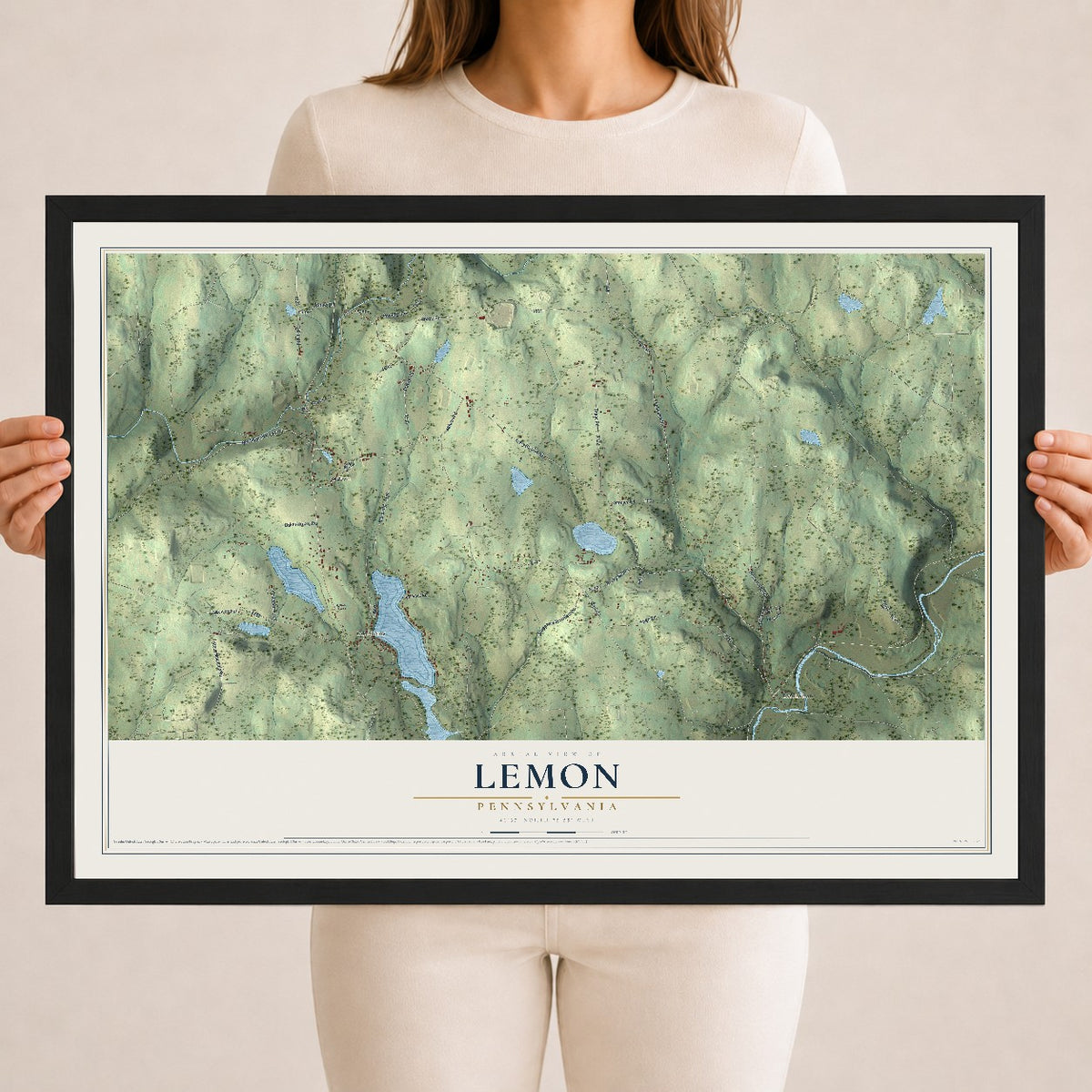 Map of Lemon, Pennsylvania, 18 x 24 inch print in a black wood frame