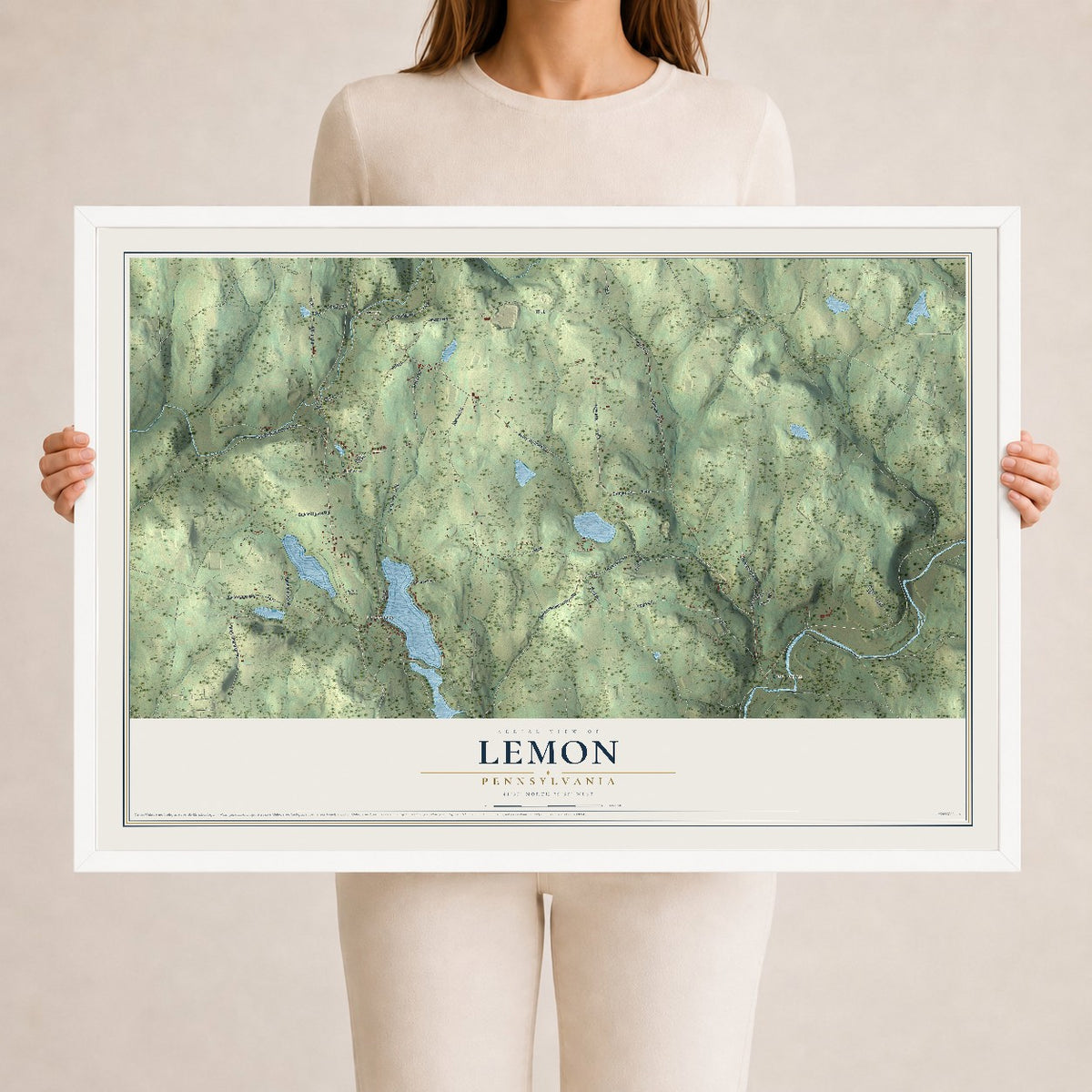 Map of Lemon, Pennsylvania, 24 x 36 inch print in a white wood frame