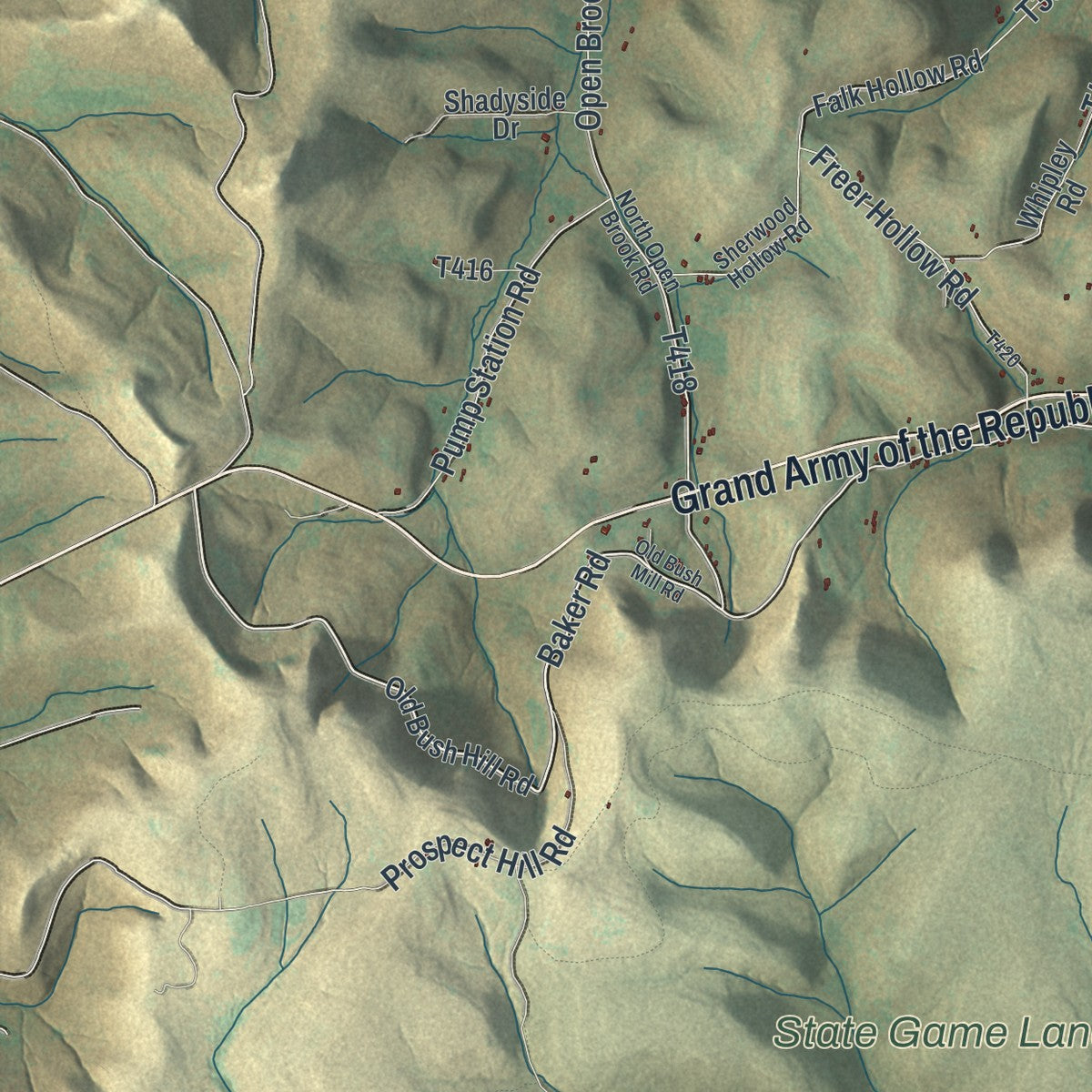 Close-up of the map of Liberty, McKean County, Pennsylvania print showing street and building detail