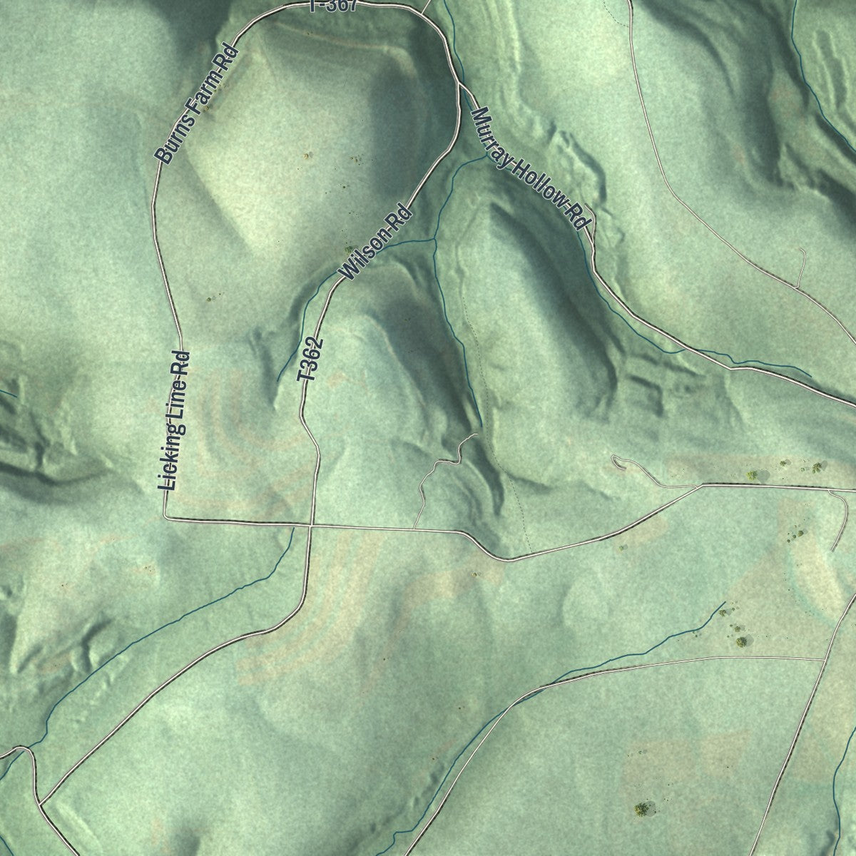 Close-up of the map of Licking, Pennsylvania print showing street and building detail
