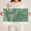 Map of Limestone, Warren County, Pennsylvania, 12 x 18 inch unframed archival matte print