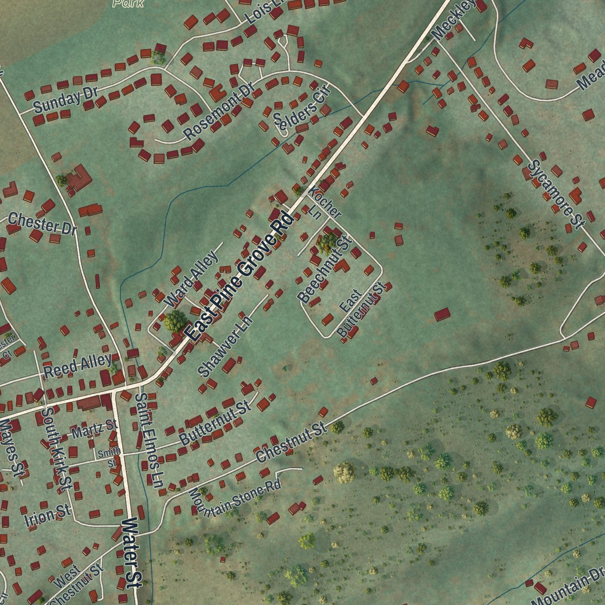 Close-up of the map of Pine Grove Mills, Pennsylvania print showing street and building detail