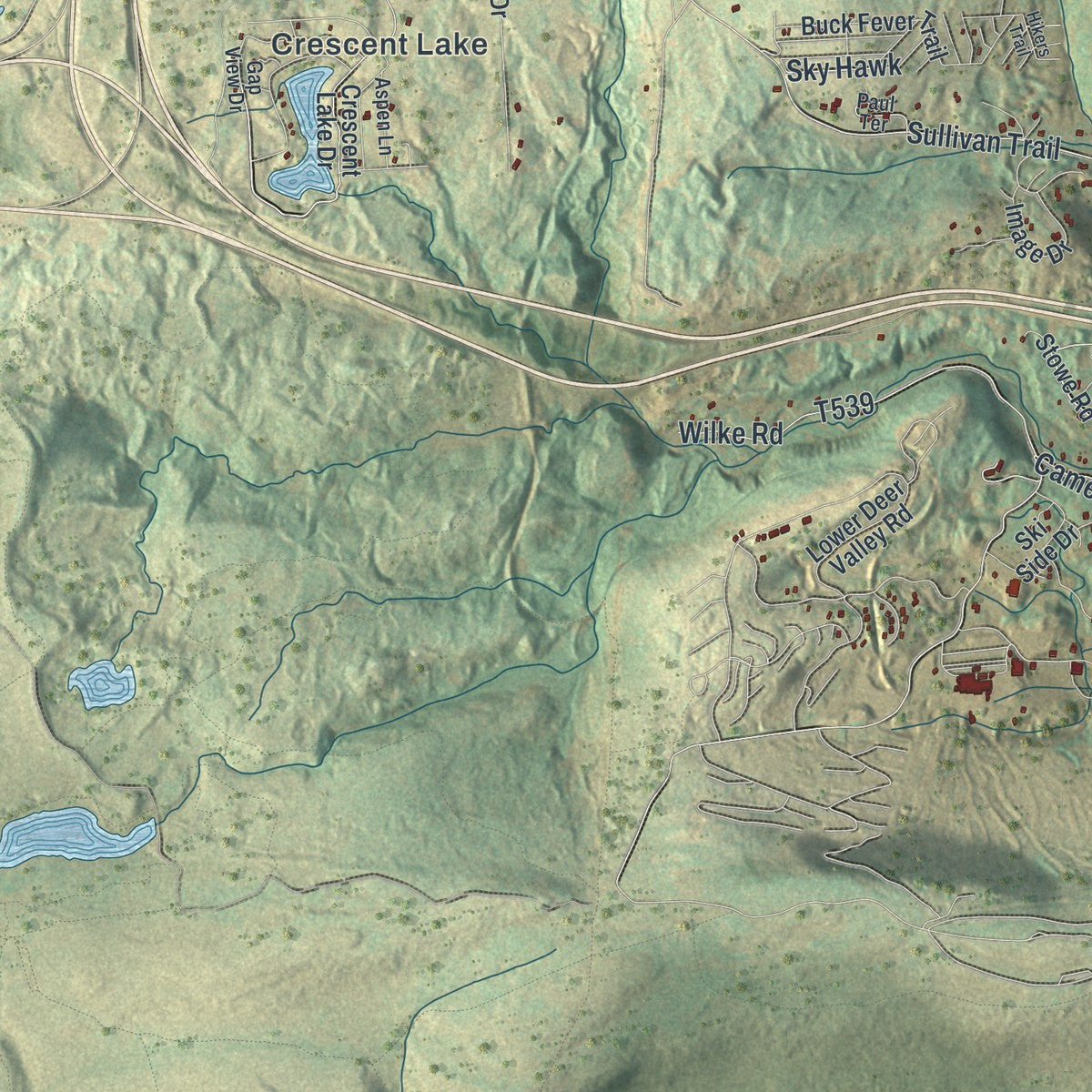 Close-up of the map of Pocono, Pennsylvania print showing street and building detail