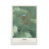 Map of Polk, Venango County, Pennsylvania, 12 x 18 inch unframed archival matte print