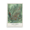 Map of Port Carbon, Pennsylvania, 12 x 18 inch unframed archival matte print