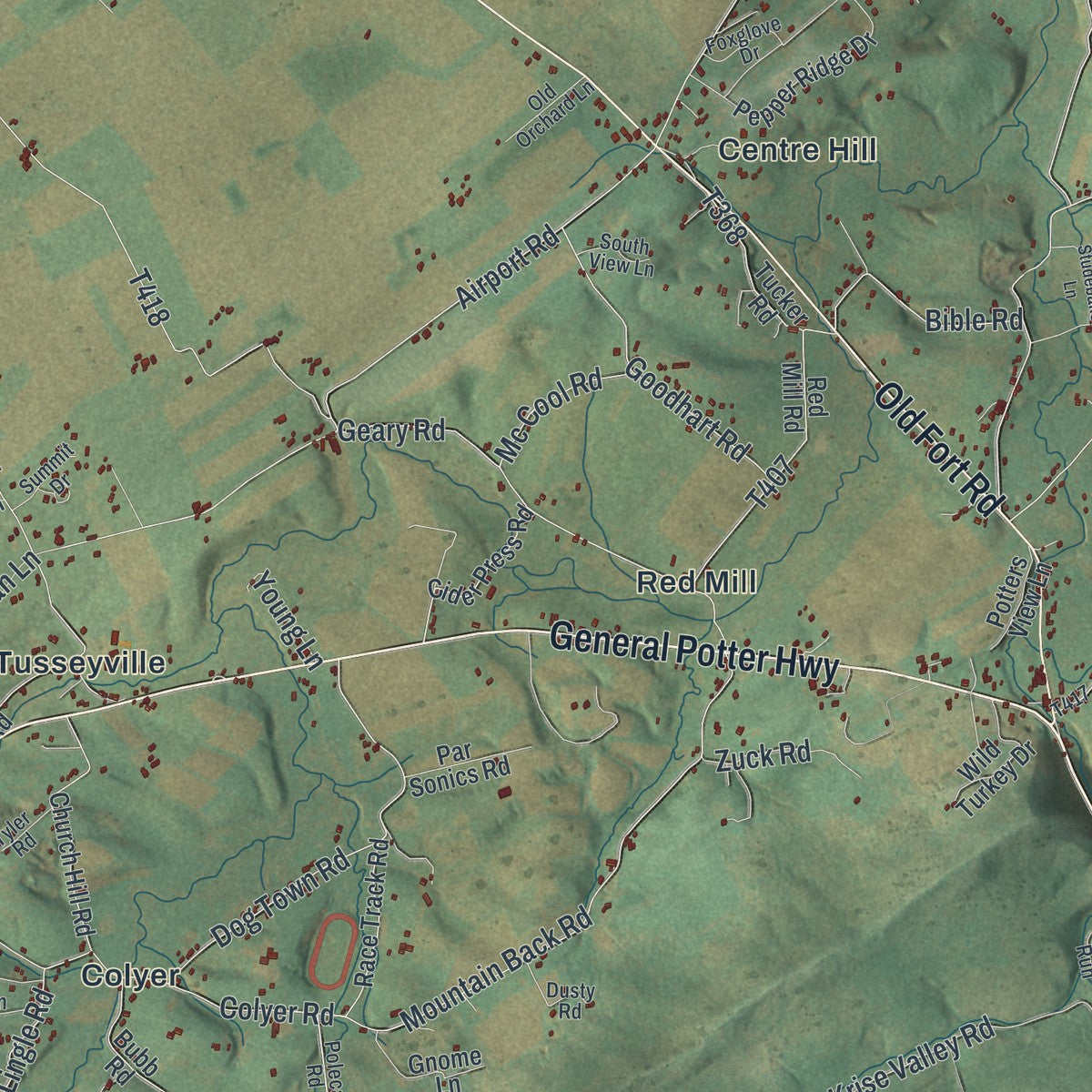 Close-up of the map of Potter, Centre County, Pennsylvania print showing street and building detail
