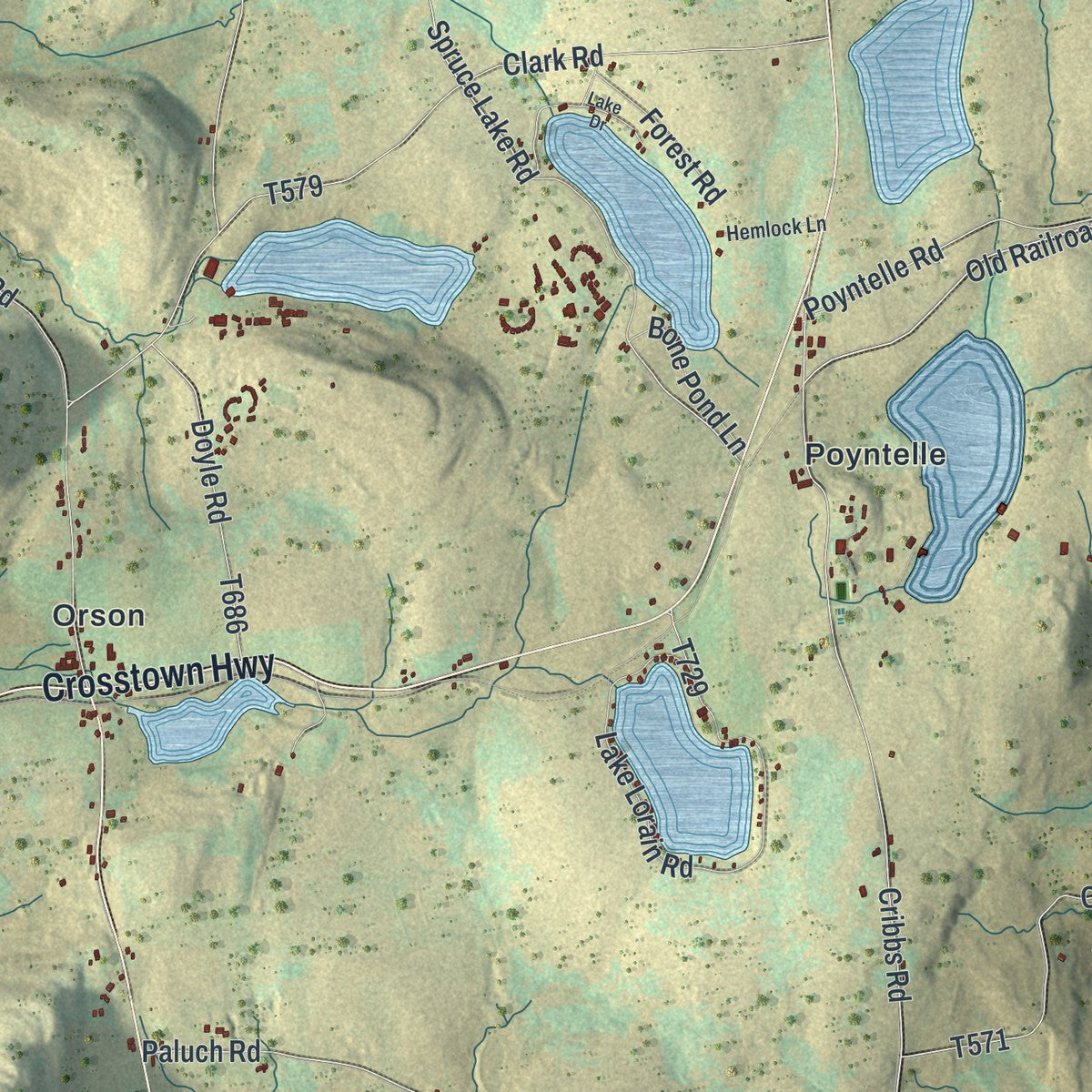 Close-up of the map of Preston, Pennsylvania print showing street and building detail