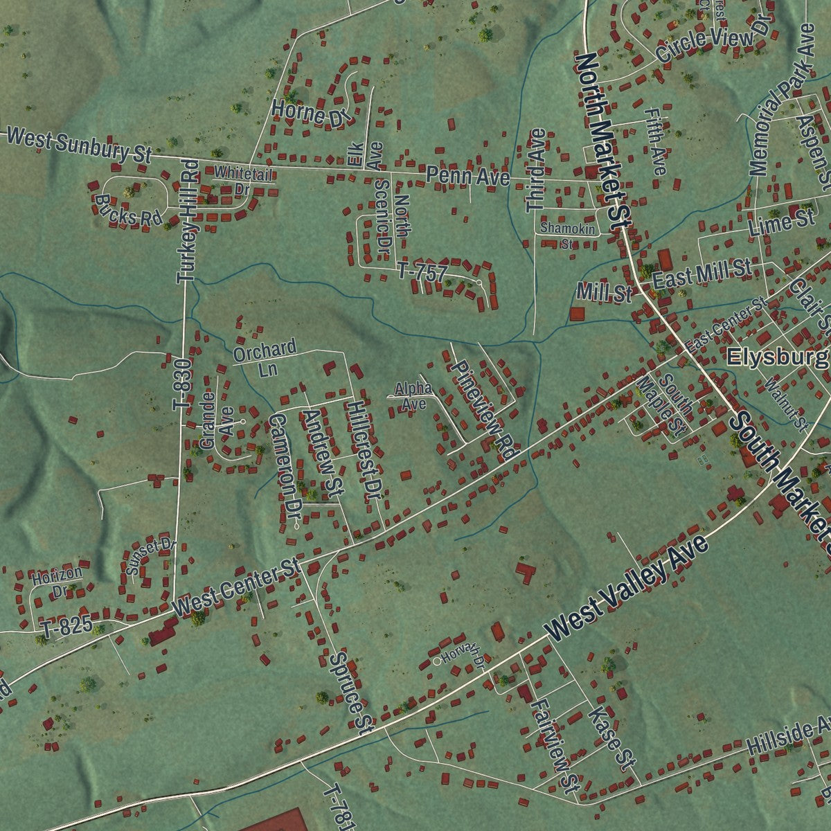 Close-up of the map of Ralpho, Pennsylvania print showing street and building detail