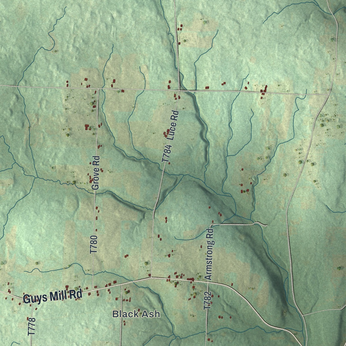 Close-up of the map of Randolph, Pennsylvania print showing street and building detail