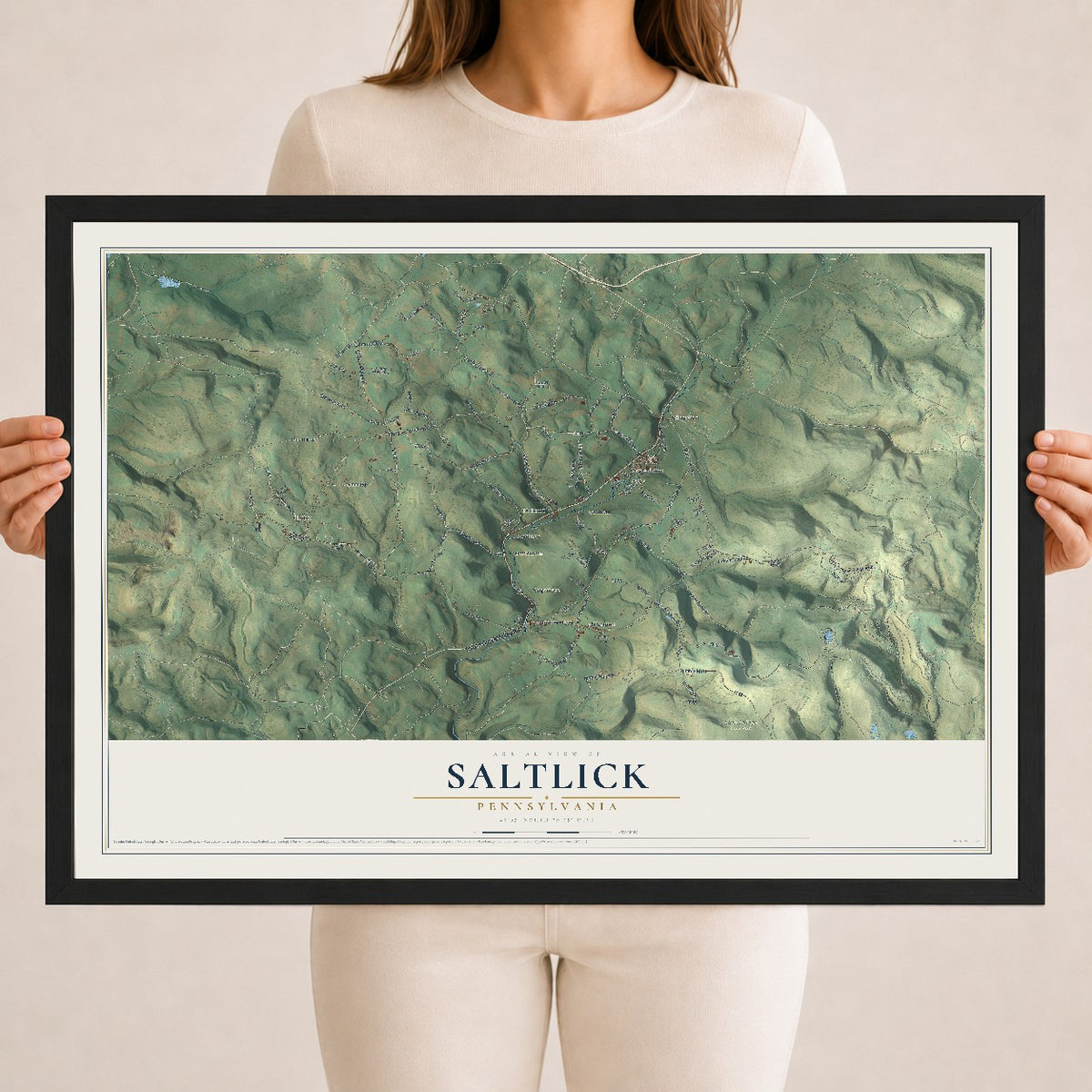 Map of Saltlick, Pennsylvania, 18 x 24 inch print in a black wood frame