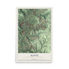 Map of Scott, Allegheny County, Pennsylvania, 12 x 18 inch unframed archival matte print
