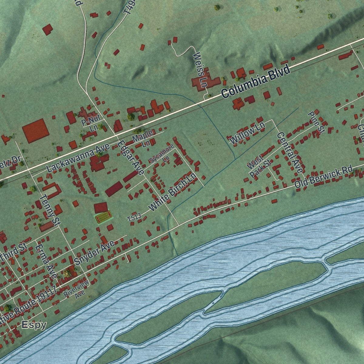 Close-up of the map of Scott, Columbia County, Pennsylvania print showing street and building detail