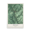 Map of Sheffield, Pennsylvania, 12 x 18 inch unframed archival matte print