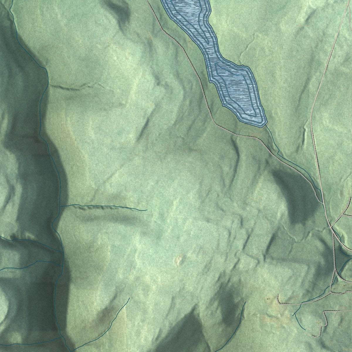 Second close-up of the map of Shrewsbury, Lycoming County, Pennsylvania print showing more streets and buildings