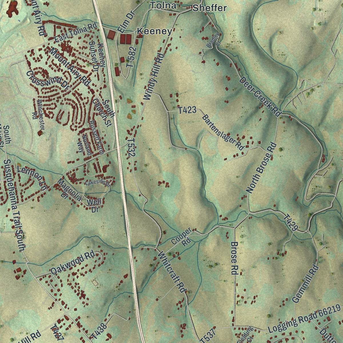 Close-up of the map of Shrewsbury, York County, Pennsylvania print showing street and building detail