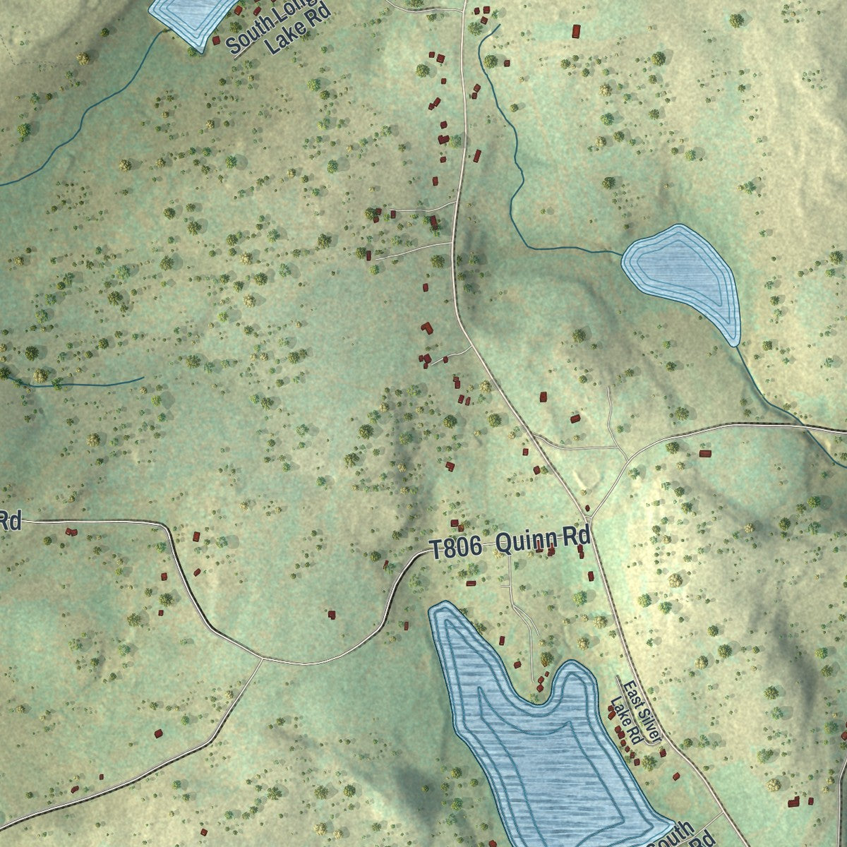 Close-up of the map of Silver Lake, Pennsylvania print showing street and building detail