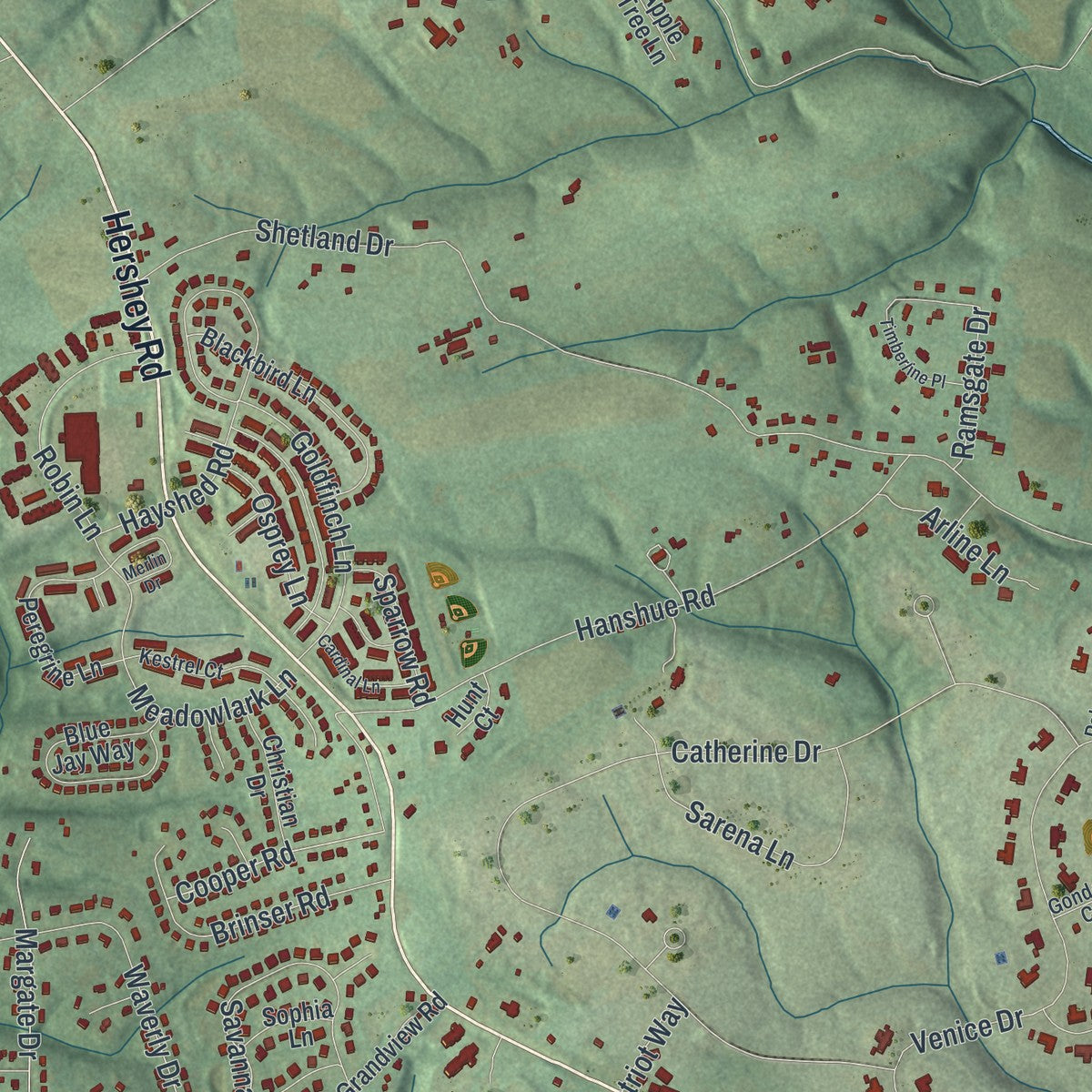 Close-up of the map of South Hanover, Pennsylvania print showing street and building detail