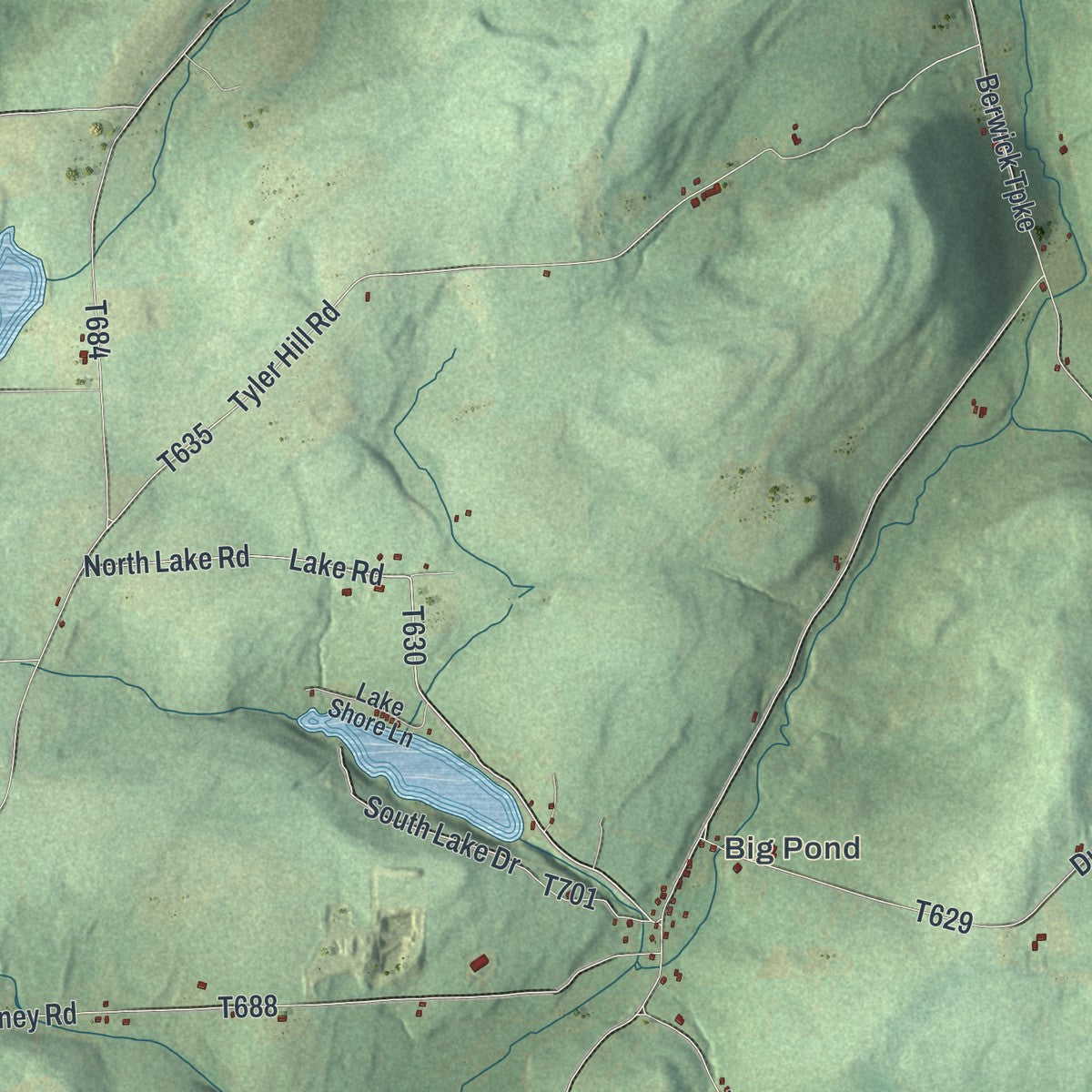 Second close-up of the map of Springfield, Bradford County, Pennsylvania print showing more streets and buildings