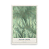Map of Sugar Grove, Warren County, Pennsylvania, 12 x 18 inch unframed archival matte print