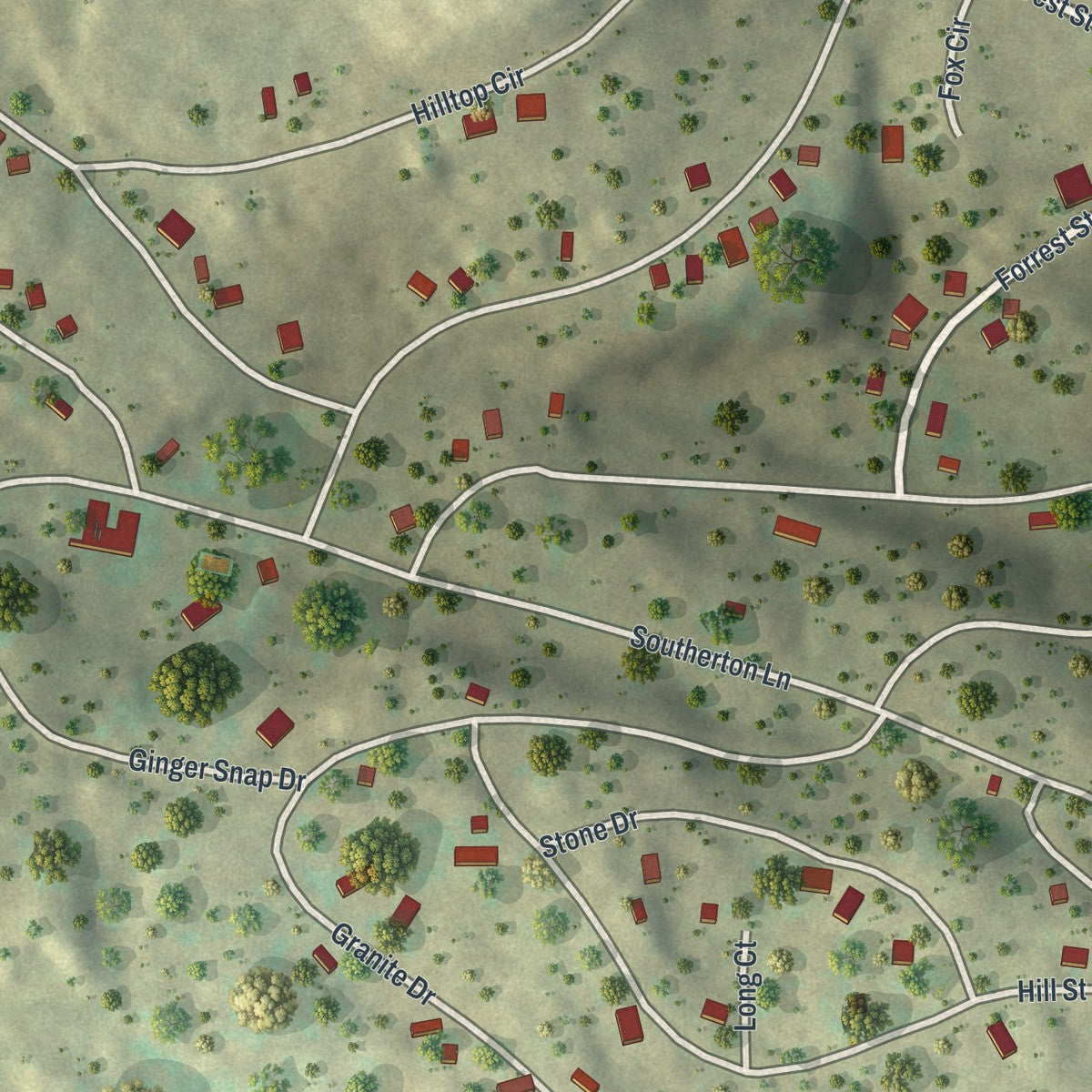 Close-up of the map of The Escape, Pennsylvania print showing street and building detail