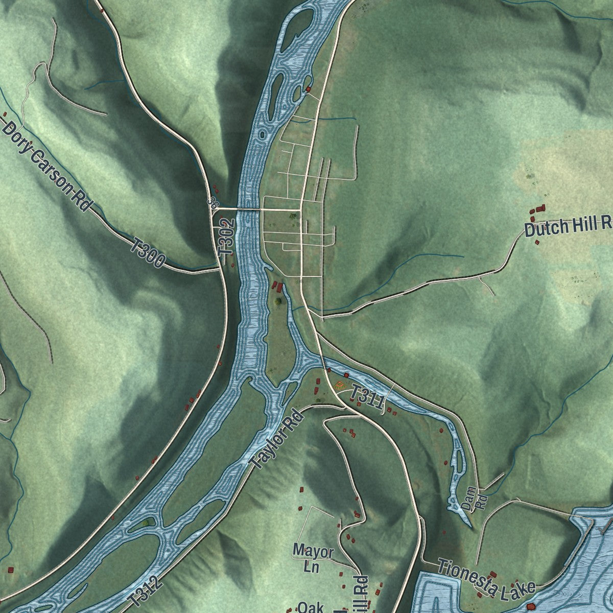 Close-up of the map of Tionesta, Forest County, Pennsylvania print showing street and building detail