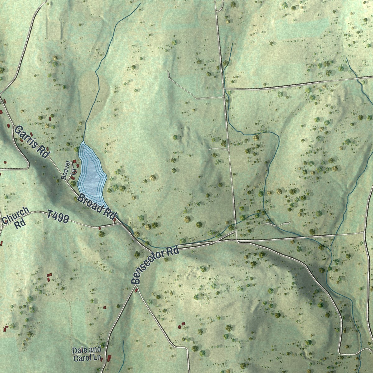 Second close-up of the map of Tuscarora, Bradford County, Pennsylvania print showing more streets and buildings