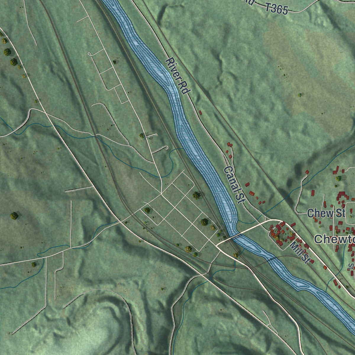 Close-up of the map of Wayne, Lawrence County, Pennsylvania print showing street and building detail