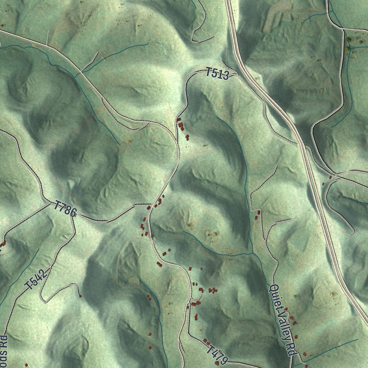 Close-up of the map of Whiteley, Pennsylvania print showing street and building detail