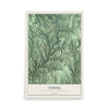 Map of Young, Indiana County, Pennsylvania, 12 x 18 inch unframed archival matte print