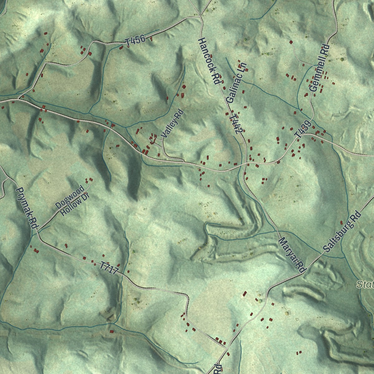 Close-up of the map of Young, Indiana County, Pennsylvania print showing street and building detail