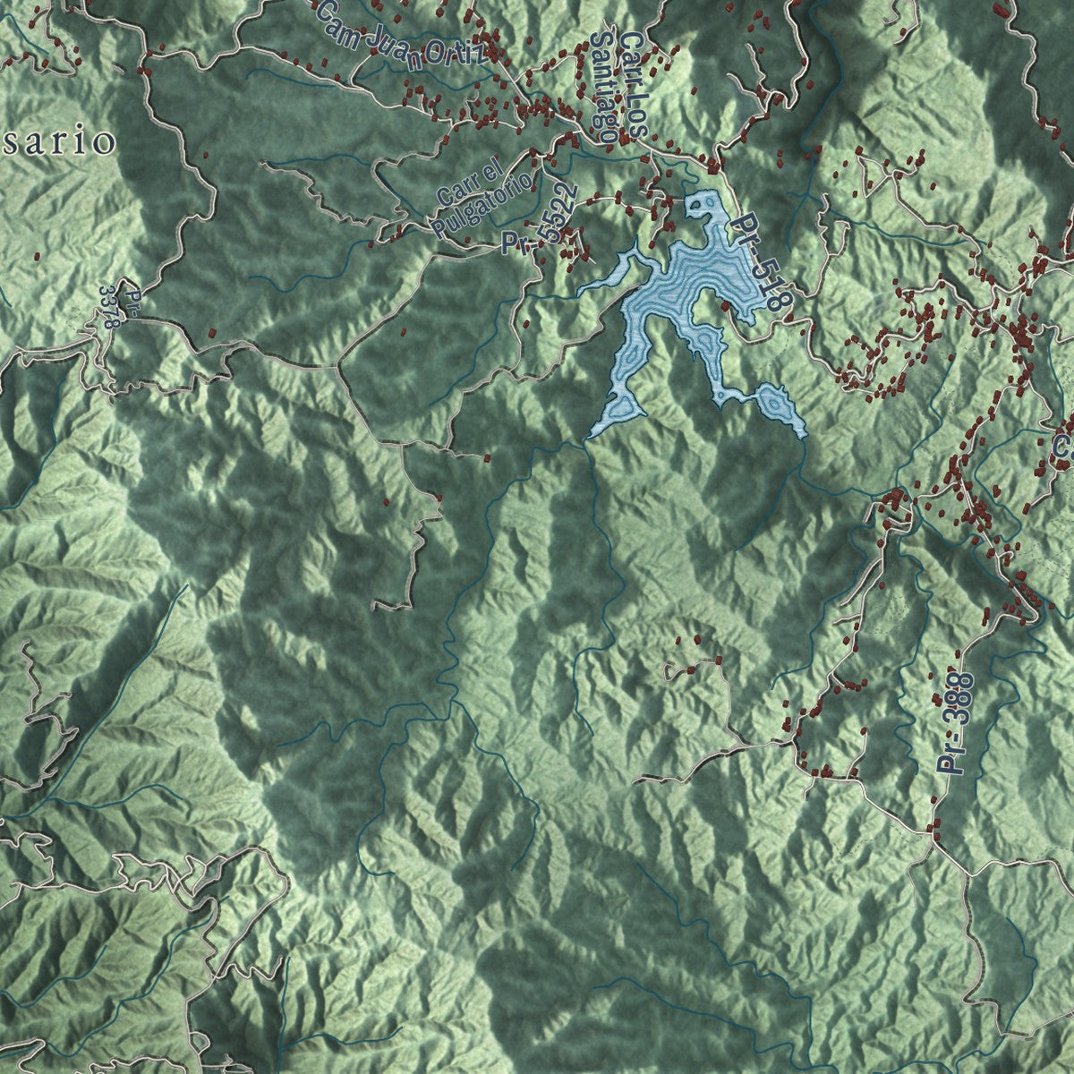Close-up of the map of Adjuntas, Puerto Rico print showing street and building detail