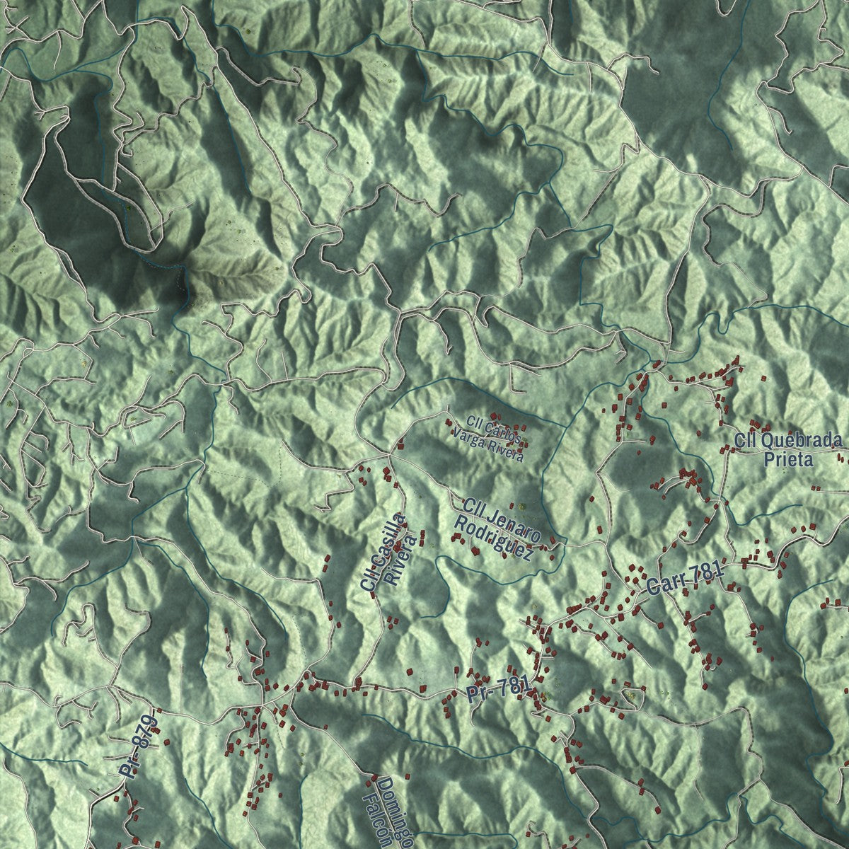 Close-up of the map of Aguas Buenas, Puerto Rico print showing street and building detail