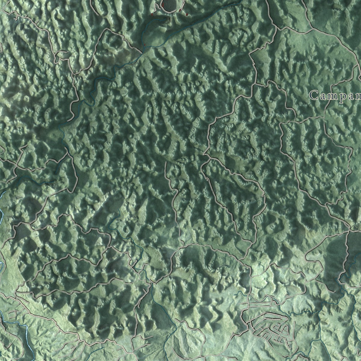 Close-up of the map of Arecibo, Puerto Rico print showing street and building detail