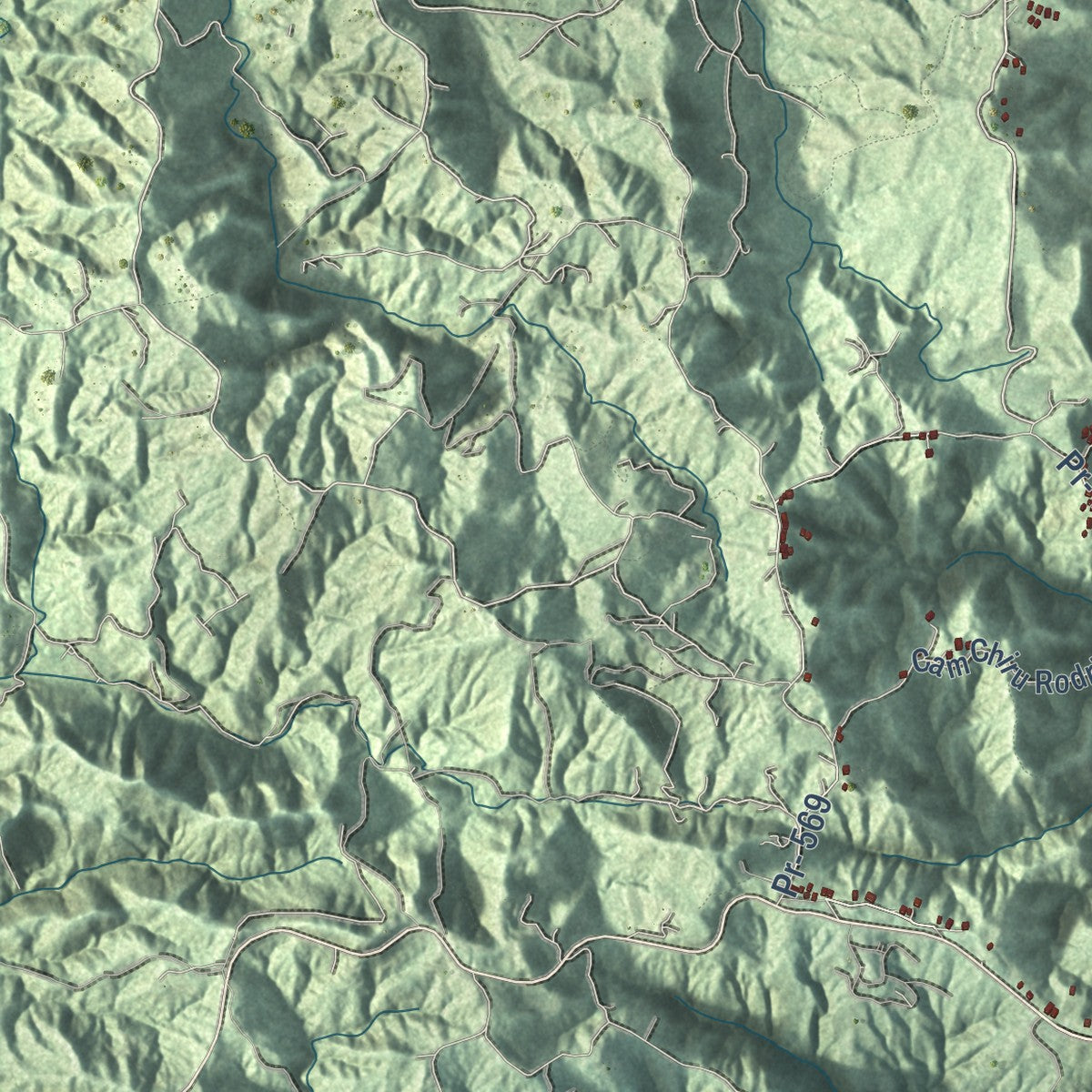 Close-up of the map of Barranquitas, Puerto Rico print showing street and building detail