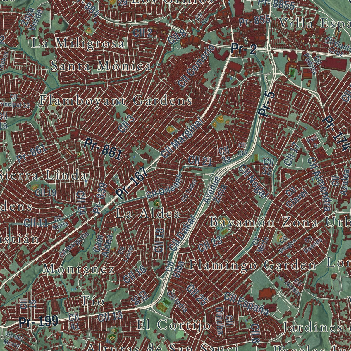 Close-up of the map of Bayamón, Puerto Rico print showing street and building detail