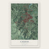Caguas, Puerto Rico map print, the full design