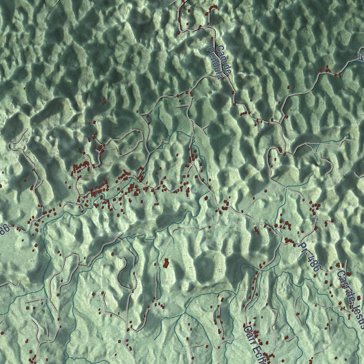Close-up of the map of Camuy, Puerto Rico print showing street and building detail