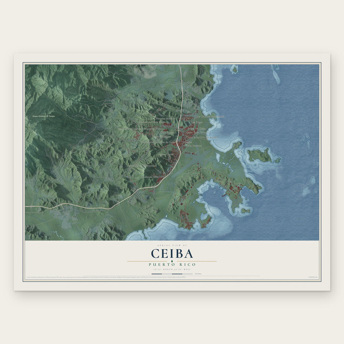 Ceiba, Puerto Rico map print, the full design