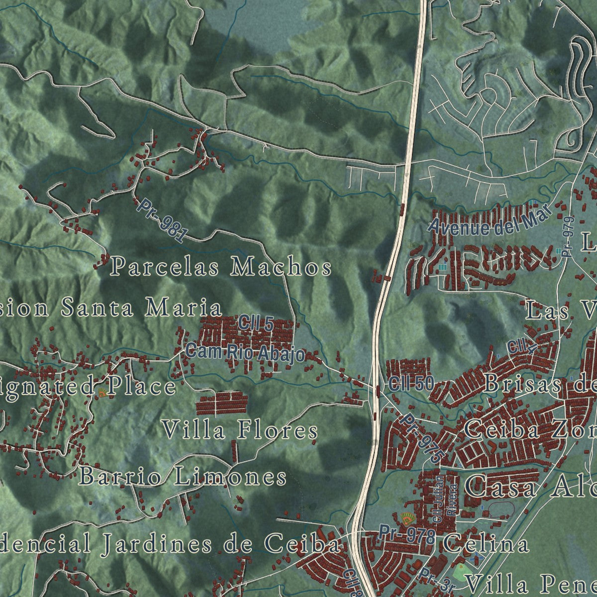 Close-up of the map of Ceiba, Puerto Rico print showing street and building detail