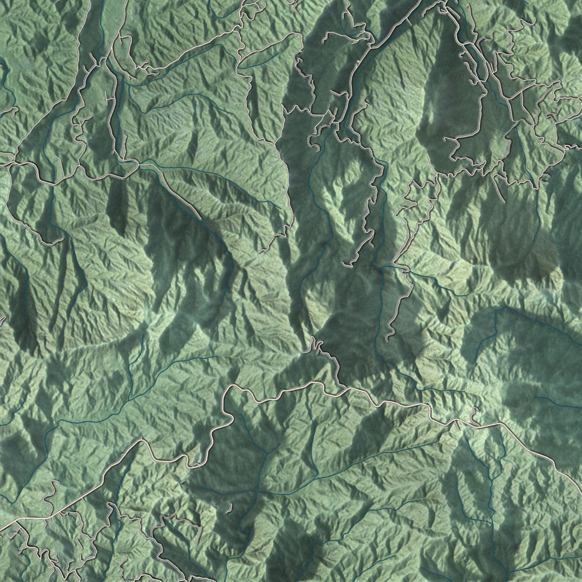 Close-up of the map of Ciales, Puerto Rico print showing street and building detail