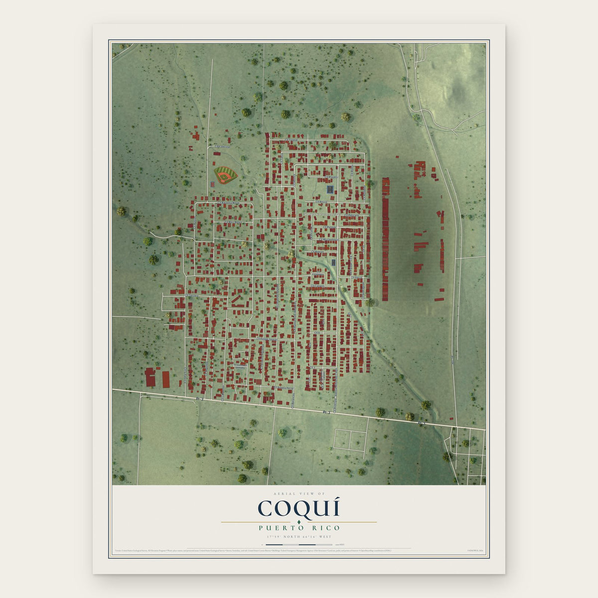 Coquí, Puerto Rico map print, the full design