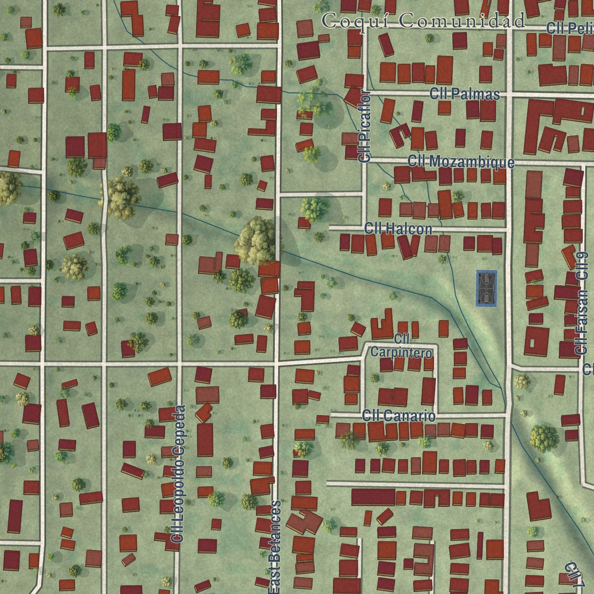 Close-up of the map of Coquí, Puerto Rico print showing street and building detail